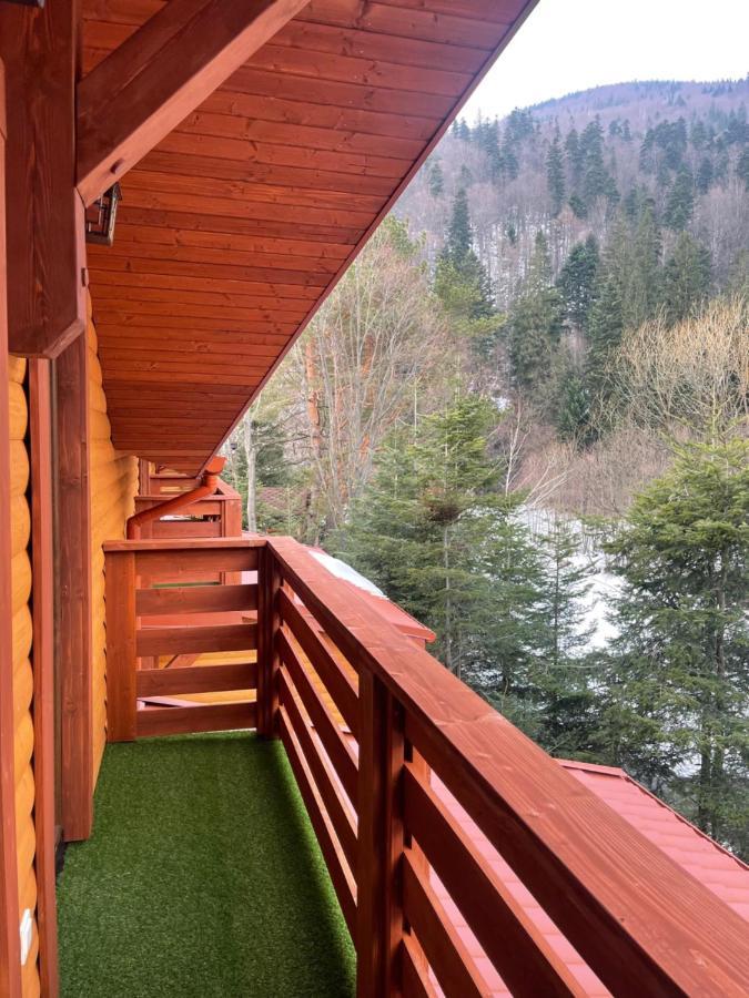Villa Затишна De Luxe Mykuljtsjin Eksteriør bilde