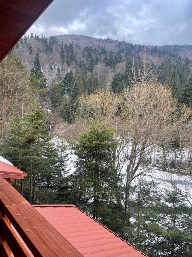 Villa Затишна De Luxe Mykuljtsjin Eksteriør bilde